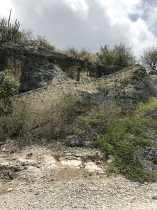 1000steps bonaire