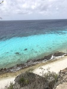 1000steps in bonaire