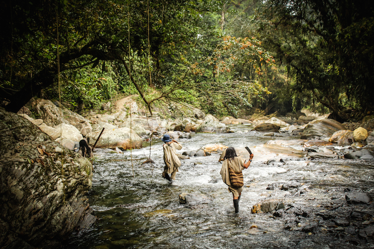 12 - COLOMBIA backpacken natuur kikivandongen