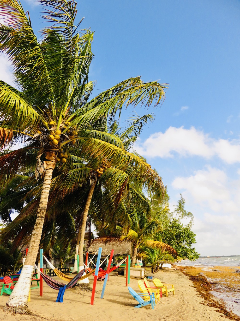 Dansen in Hopkins, Belize