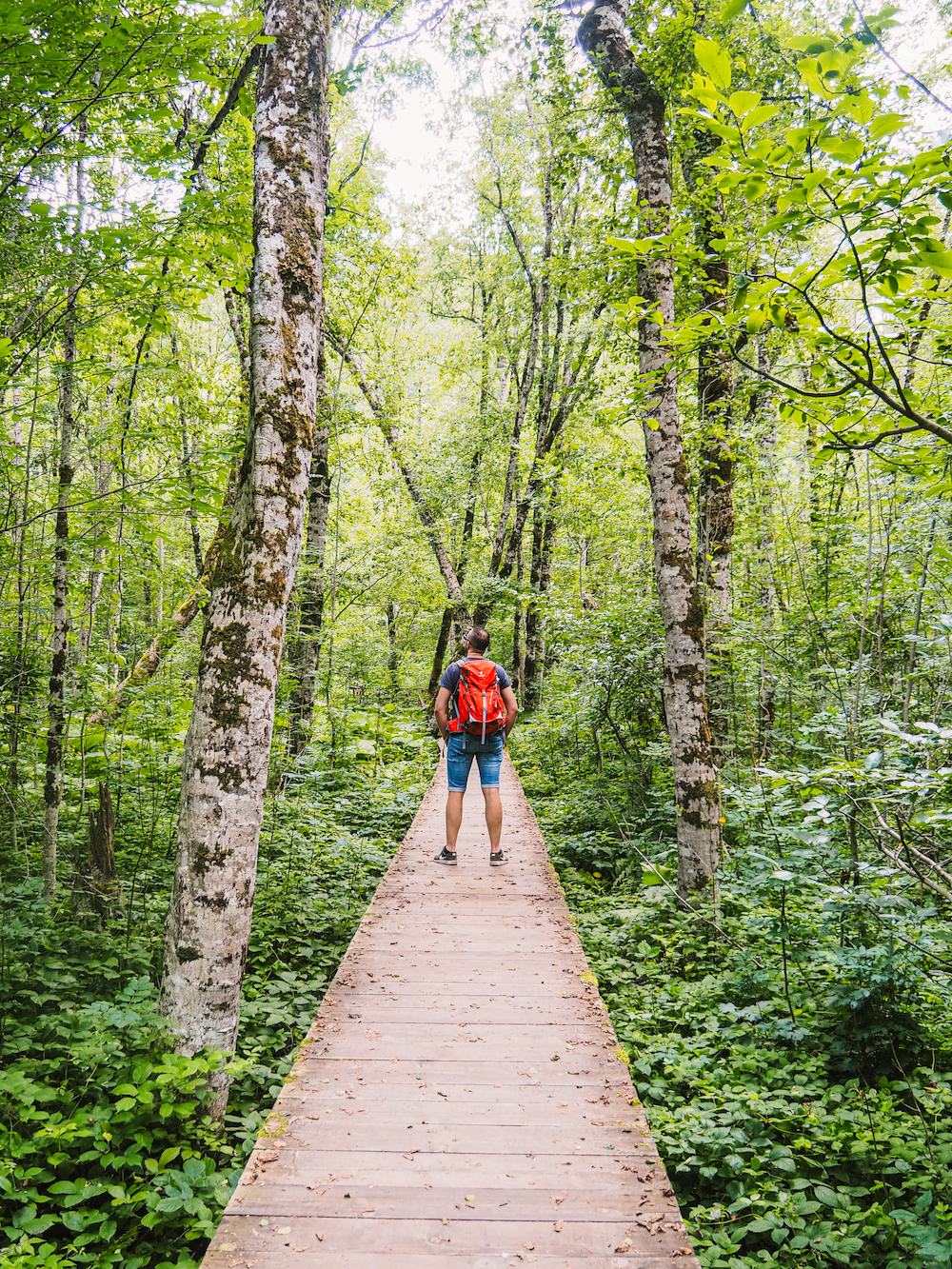 Bezoek Biogradska Gora Nationaal Park