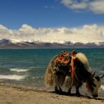 China Tibet