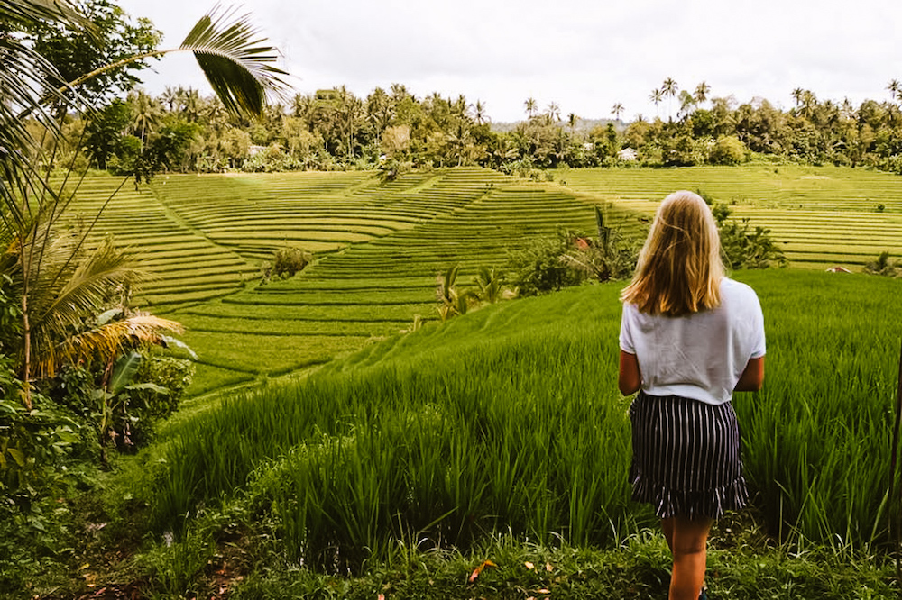 Rijstvelden Ubud Bali