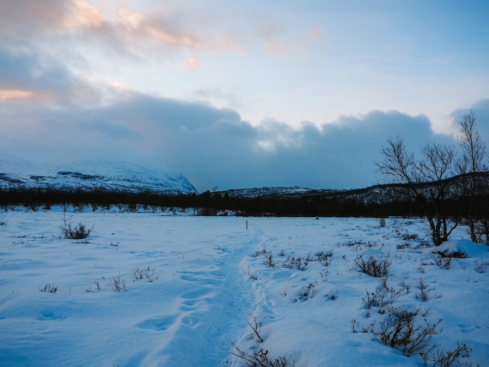 Abisko National Park