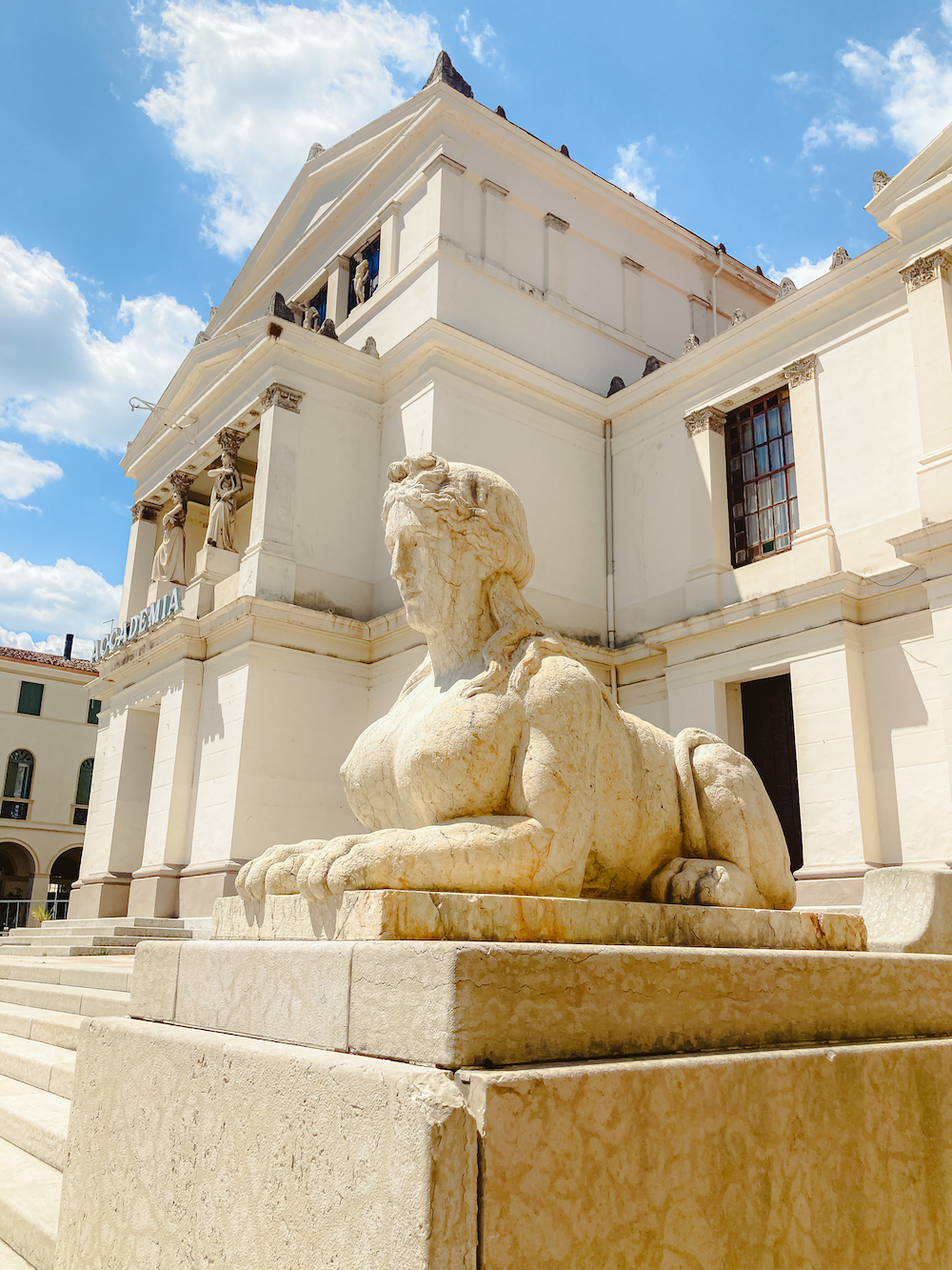 Academia Conegliano