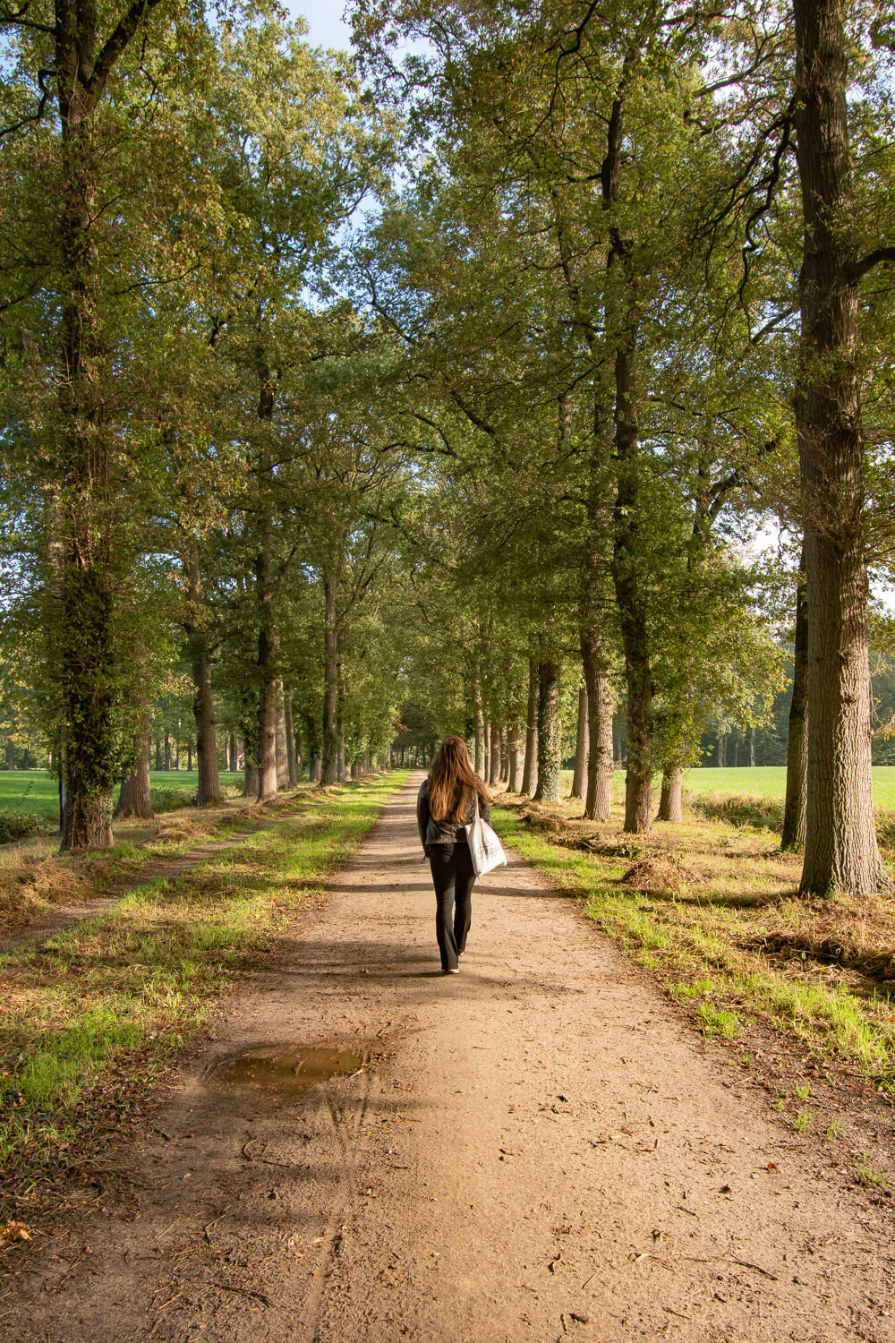 Achterhoek wandelen kasteel slangenburg