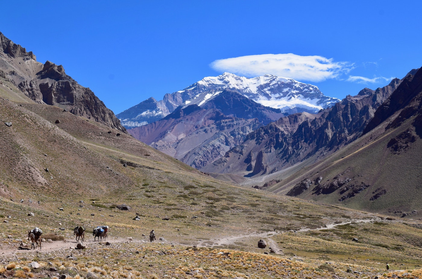 Aconcagua, Mendoza