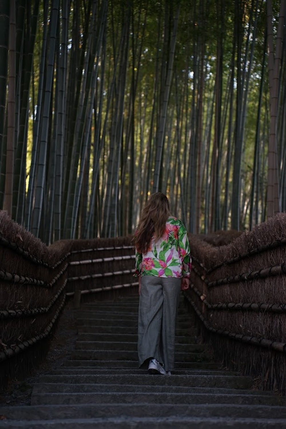 Adashino nenbutsu ju, bezienswaardigheden Kyoto