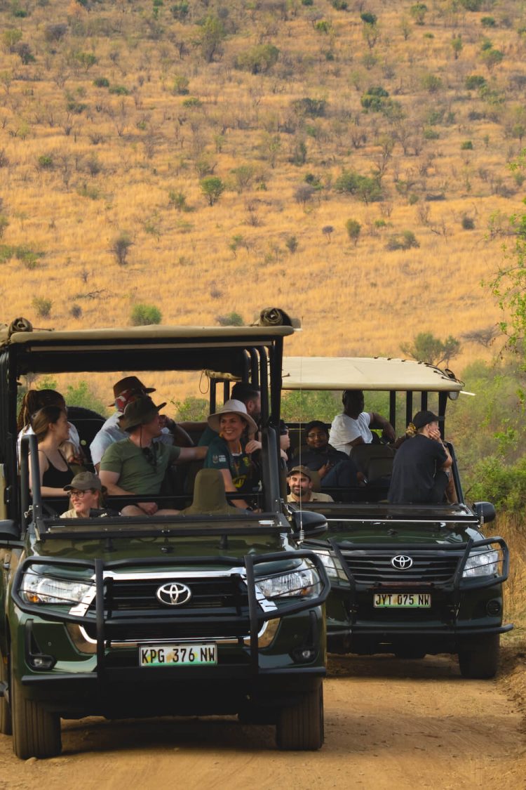 Aha ivory tree lodge Pilanesberg 1