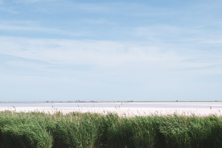 Aigues mortes frankrijk camargue omgeving