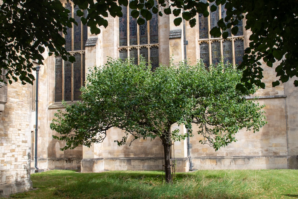 Appelboom Trinity College