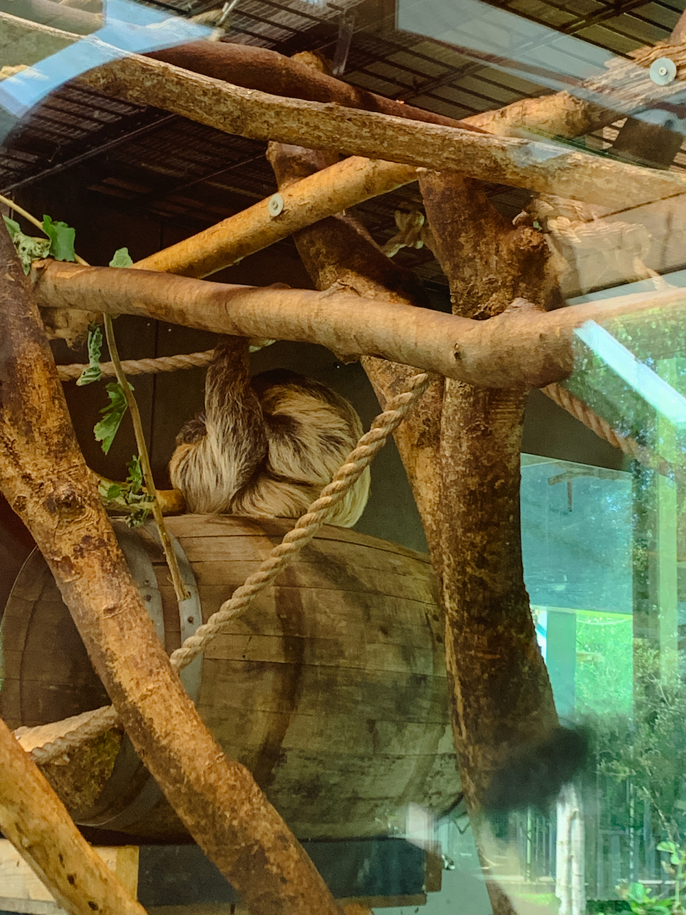 AquaZoo Leeuwarden