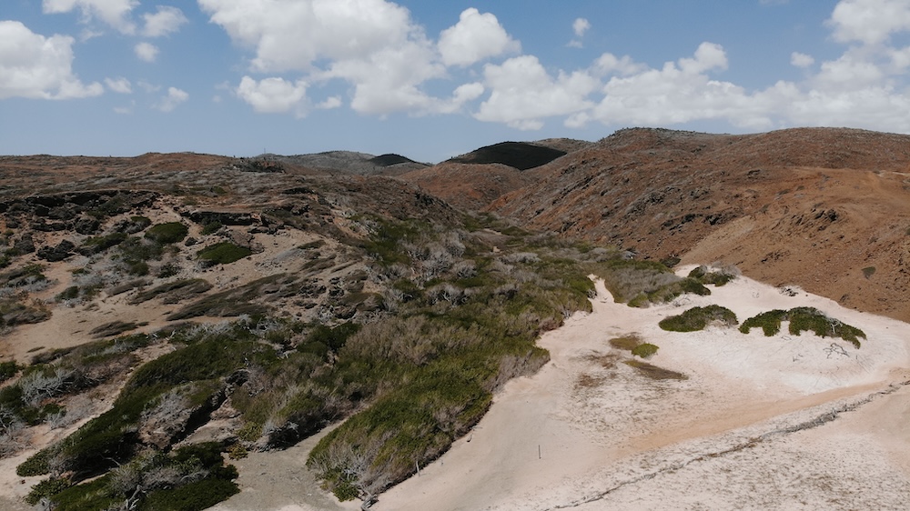 Aruba Arikok duinen