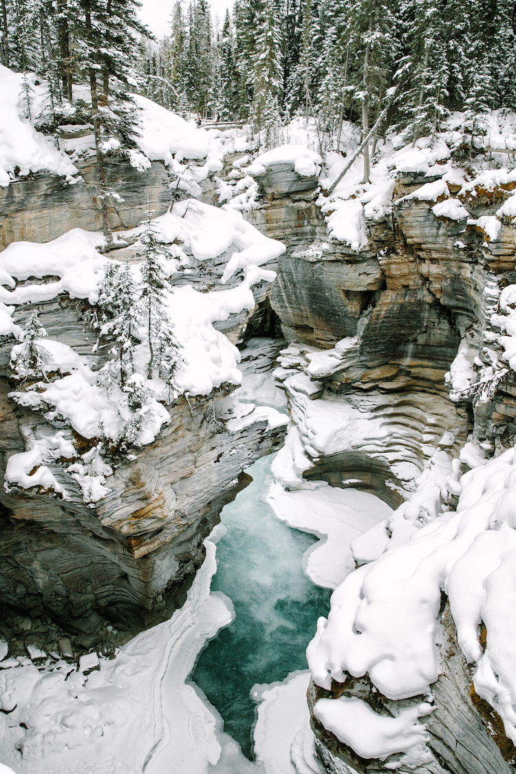 AthabascaFalls-canada winter