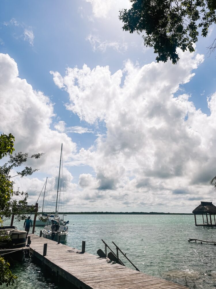 Bacalar