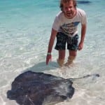 Bahamas stingray exumas