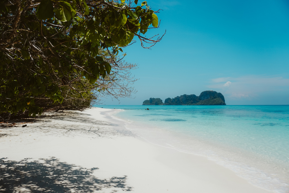 Bamboo Island