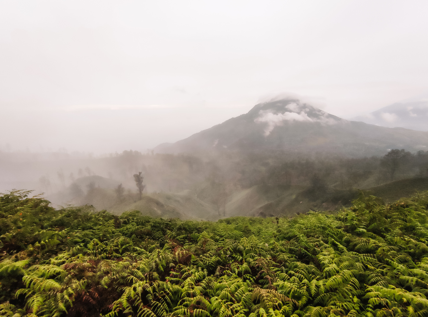 Banyuwangi en Ijen