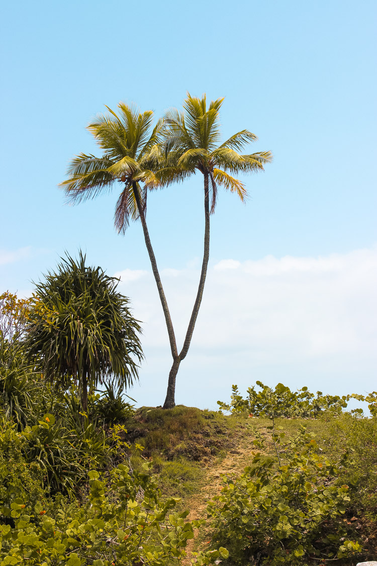 Baracoa cuba backpacken