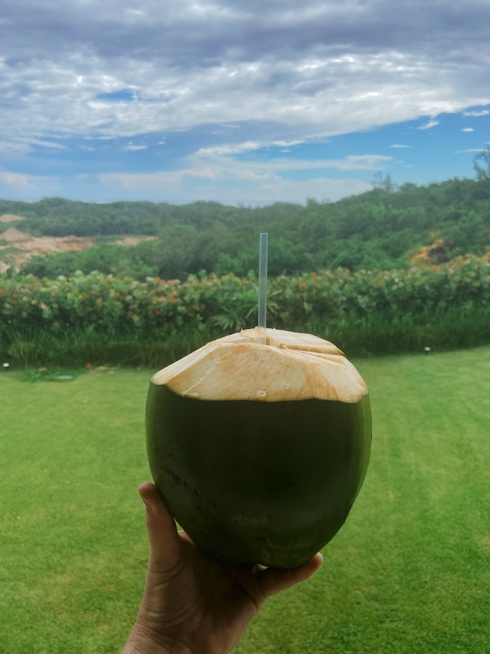 Barbados Coconut Walkers