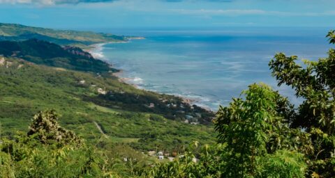 Barbados Jeepsafari