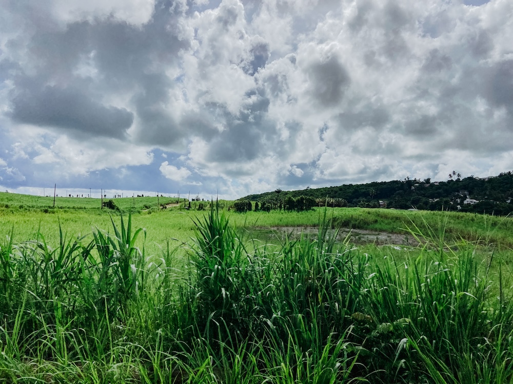 Barbados Onderweg jeep