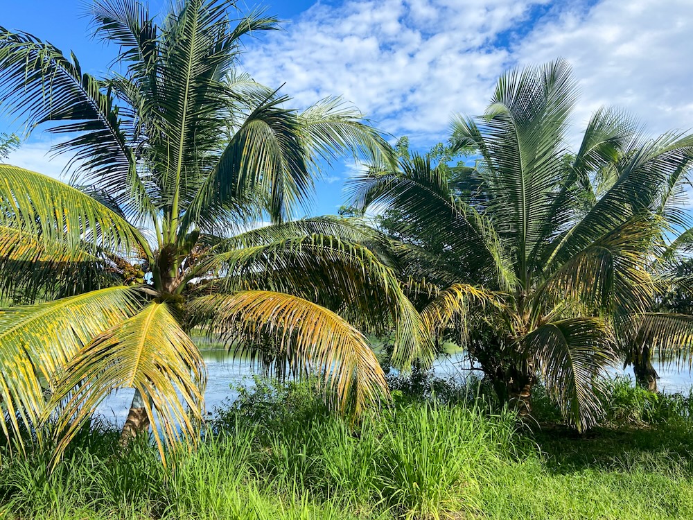 Barbados Wakkers reserve