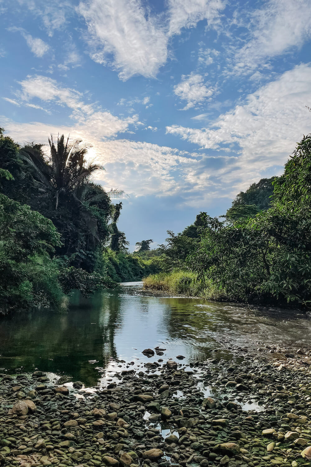 Belize San ignacio jungle