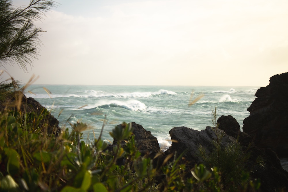 Bermuda driehoek, kust