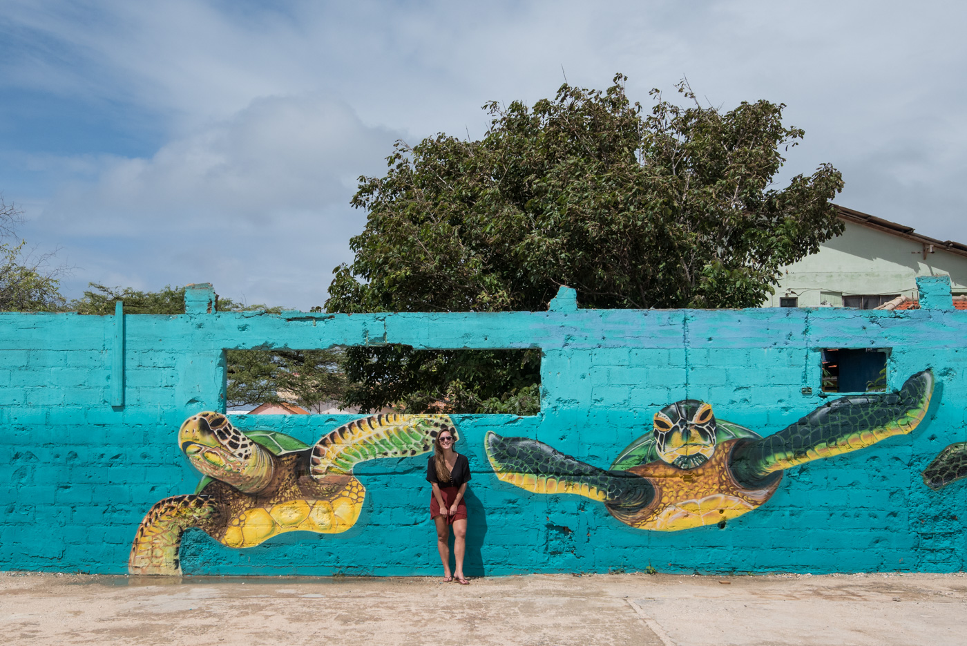 Bezienswaardigheden Aruba vakantie tips San Nicolaas schildpadden