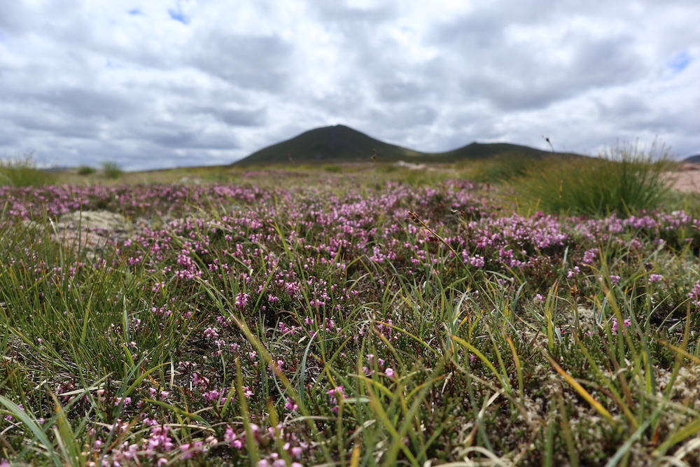 Bezienswaardigheden Schotland Cairngorms National Park