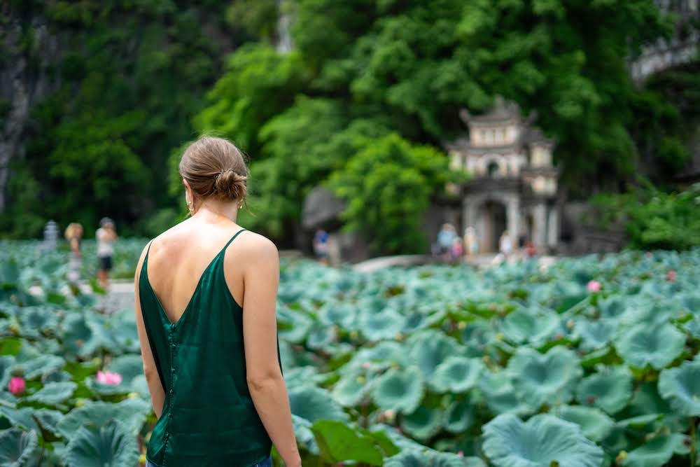 Bich Dong, Ninh Binh