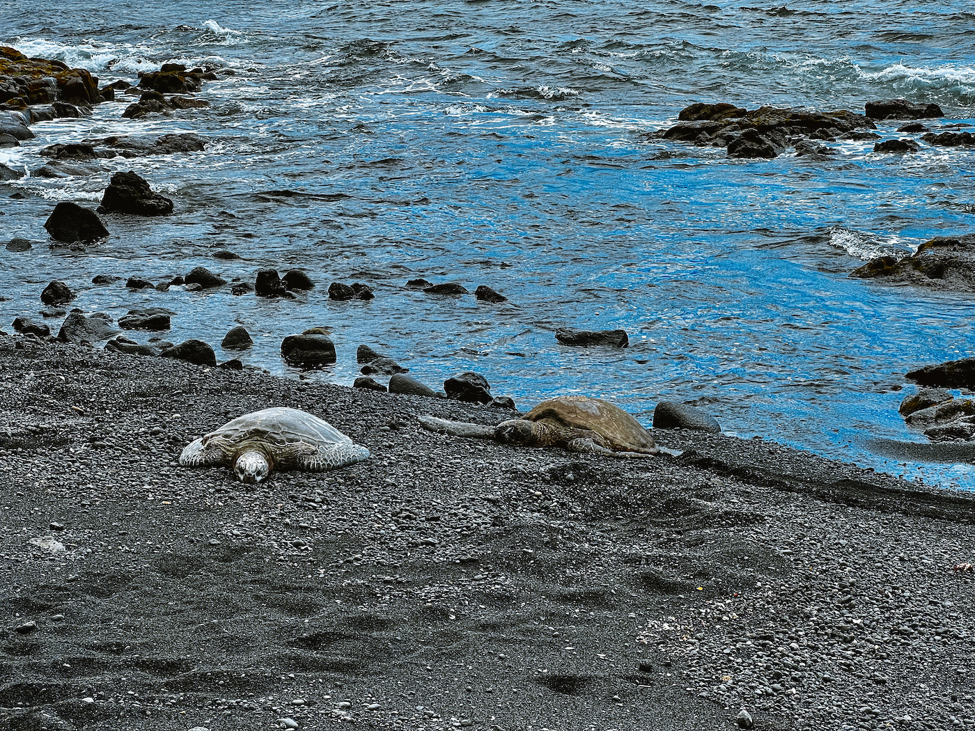 Big Island Hawaii Panalu’u black sand beach