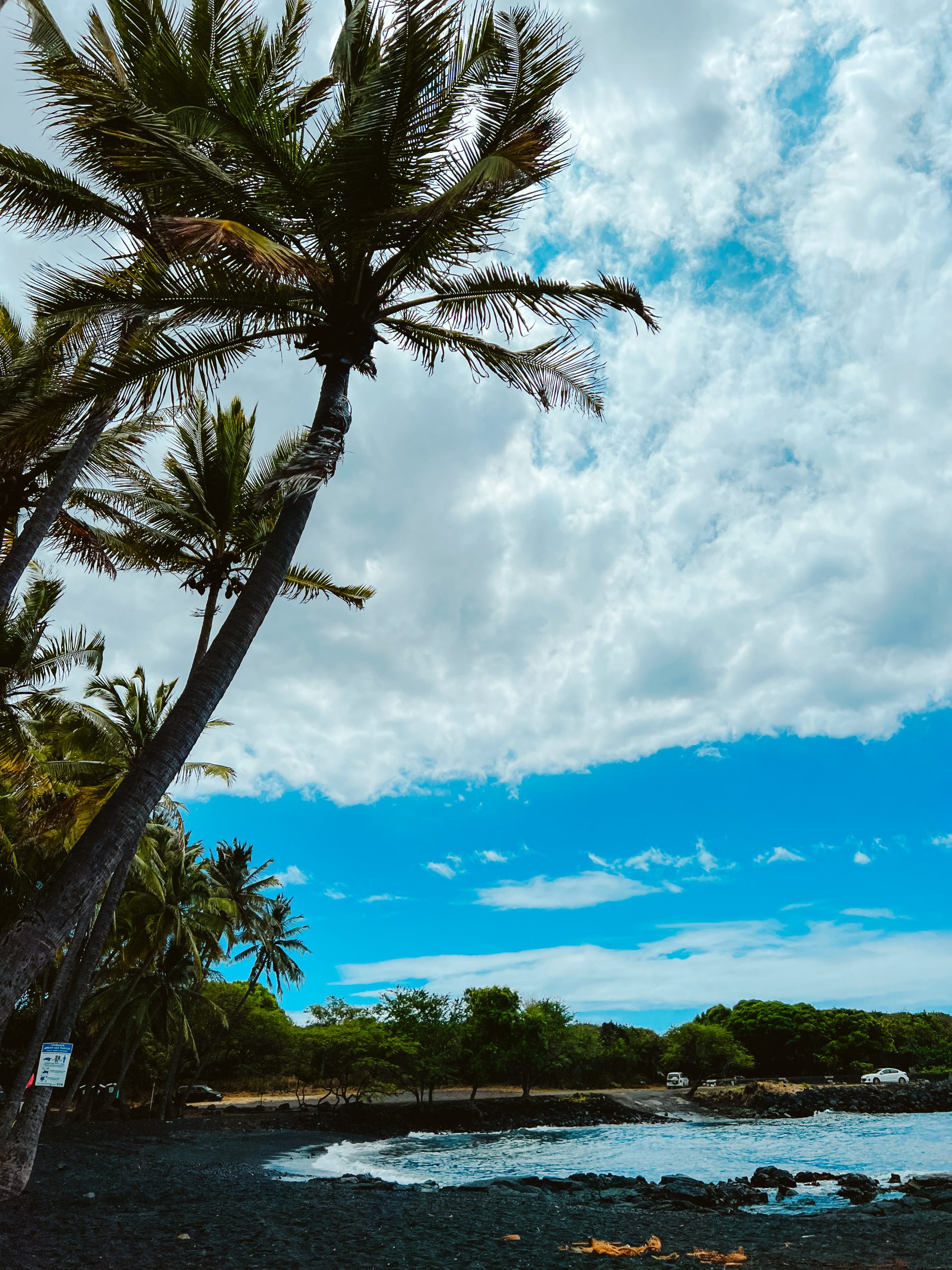 Big Island Hawaii Panalu’u