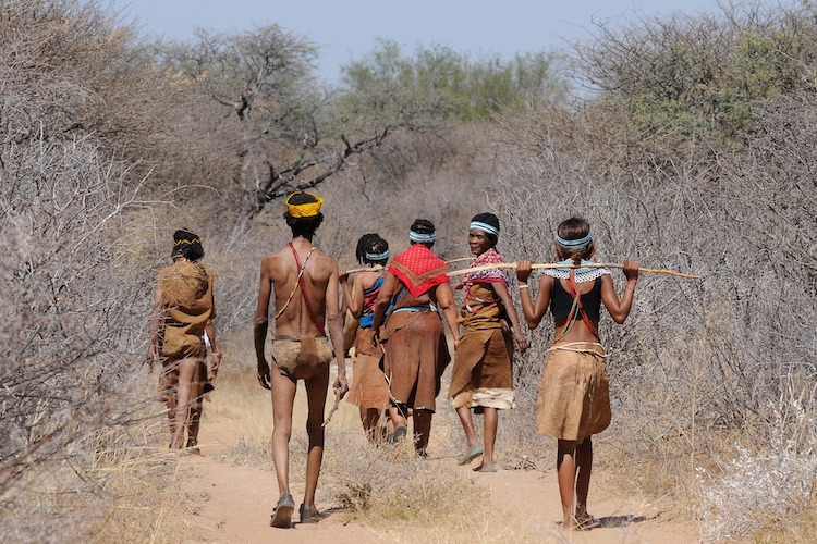 Bijzondere vakantiebestemmingen botswana