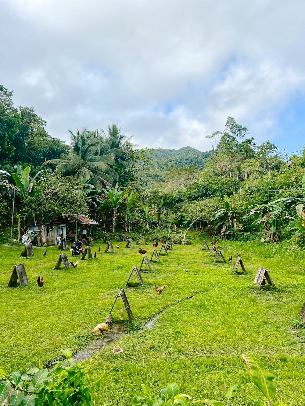 Binnenland van het eiland Siquijor