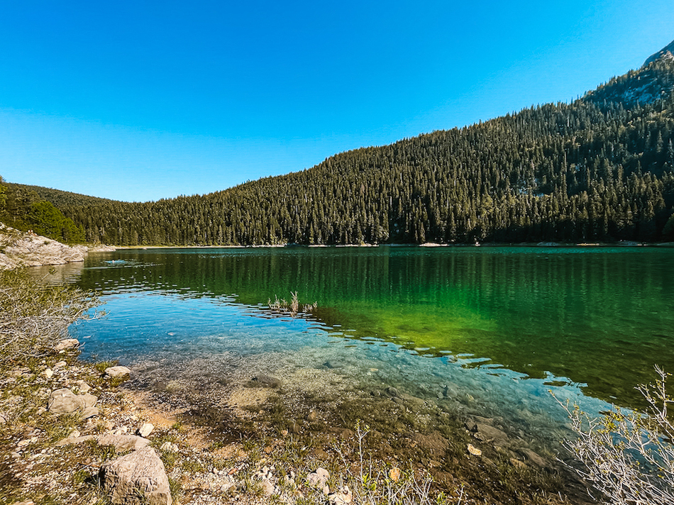 Black lake, Durmitor