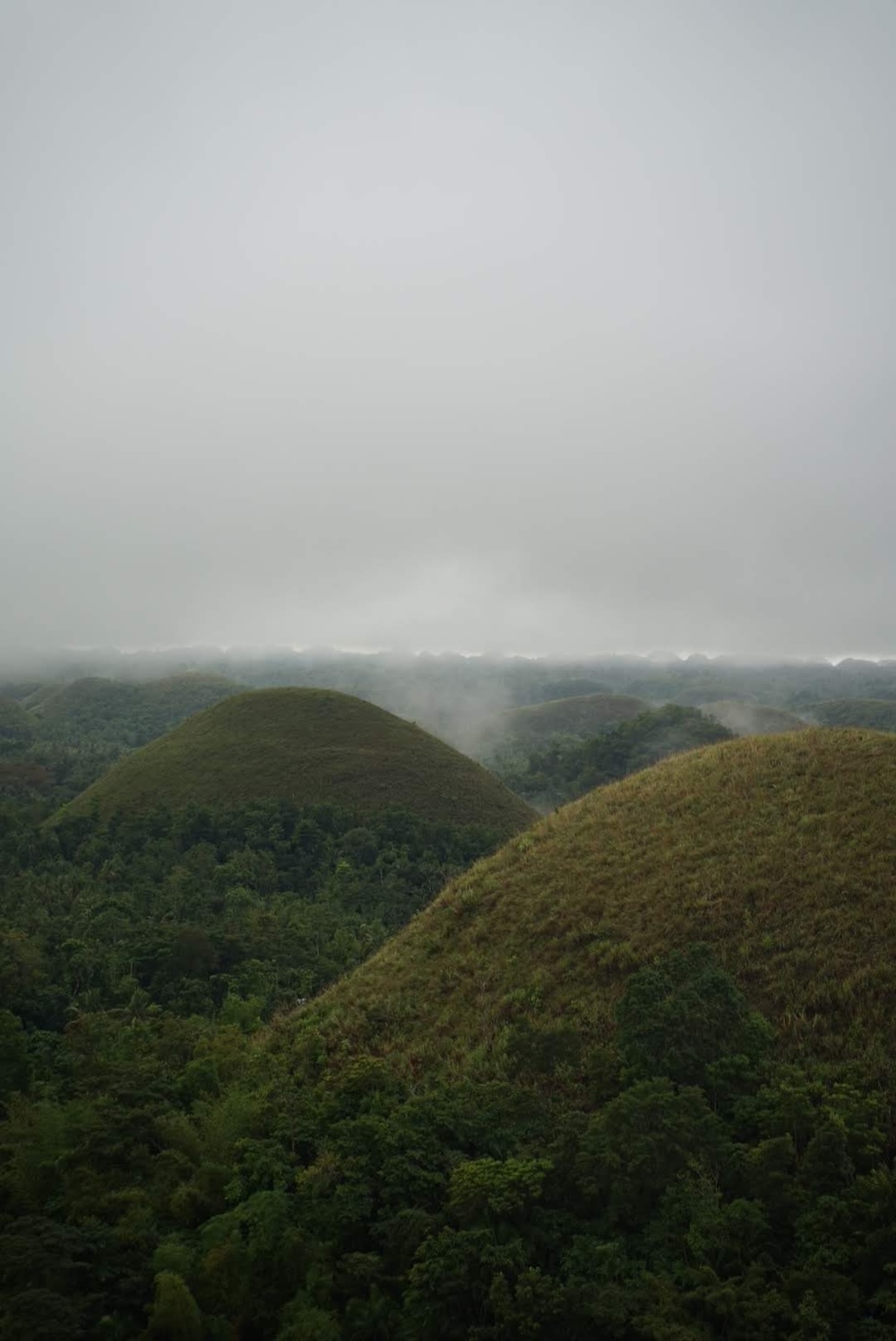 Bohol Chocolate Hills