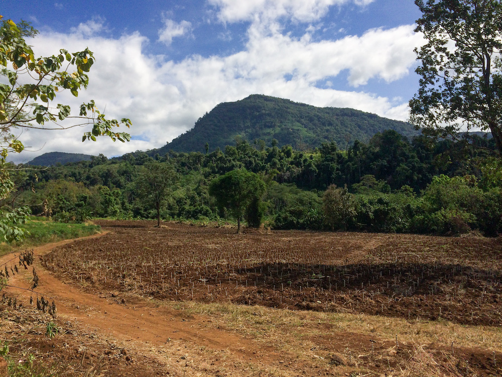 Bolaven Plateau wegen scooter