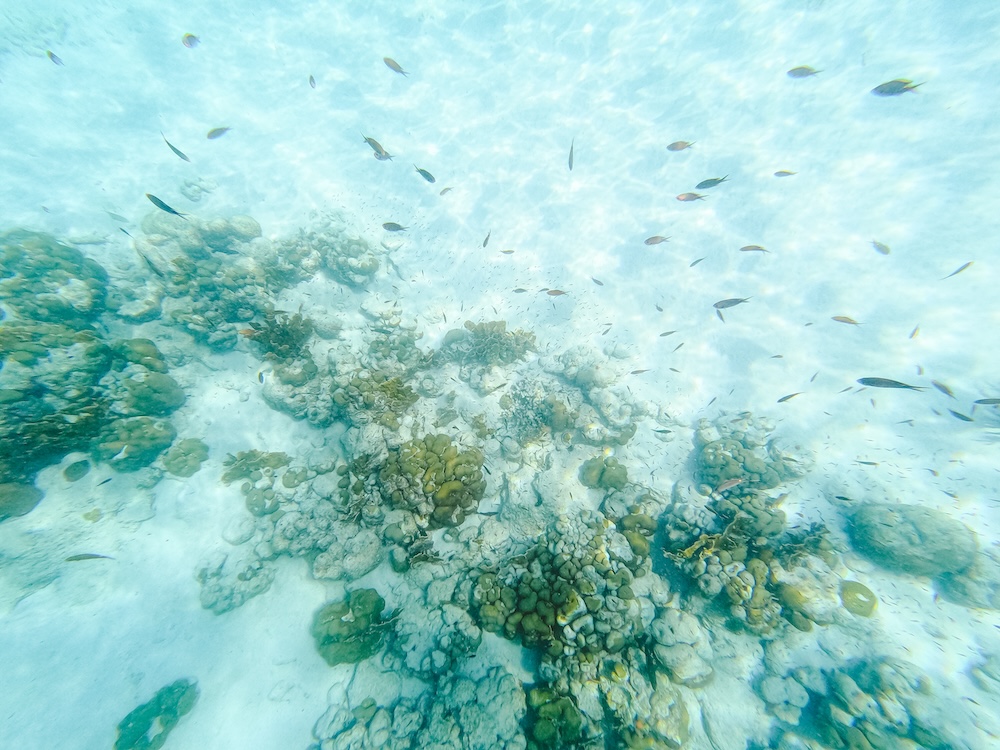 Bonaire National Marine Park