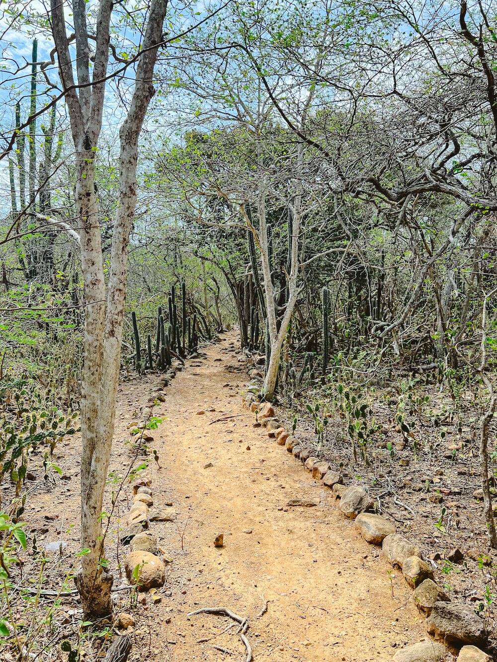 Bonaire natuur, Washington Slagbaai Nationaal Park