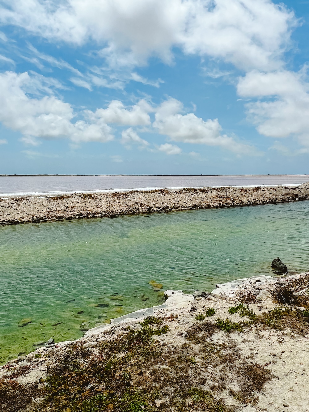 Bonaire zoutvlakte