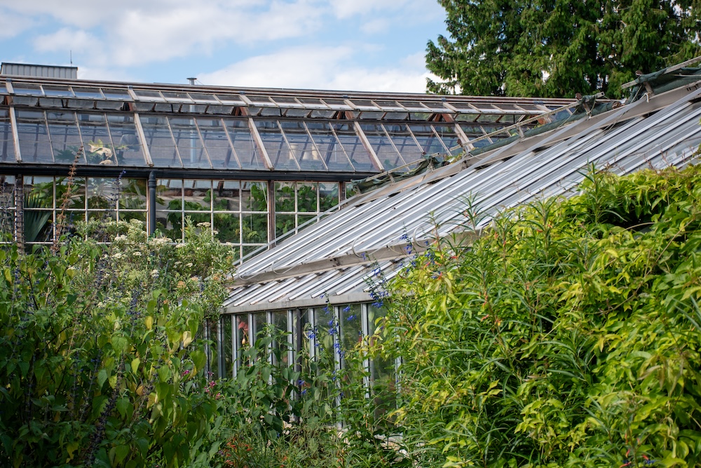 Botanische tuin Cambridge