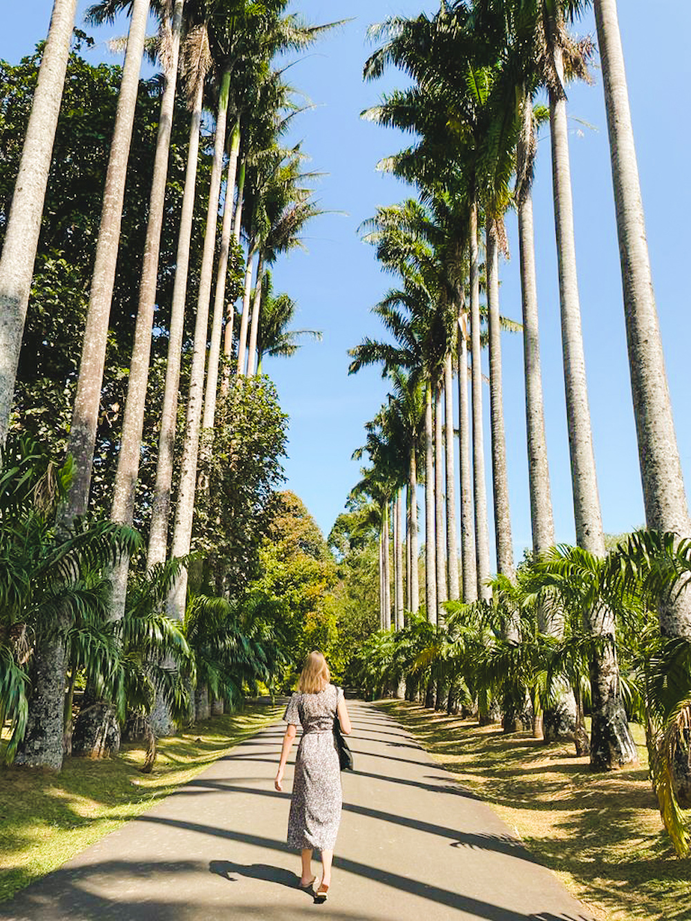 Botanische tuin in Kandy