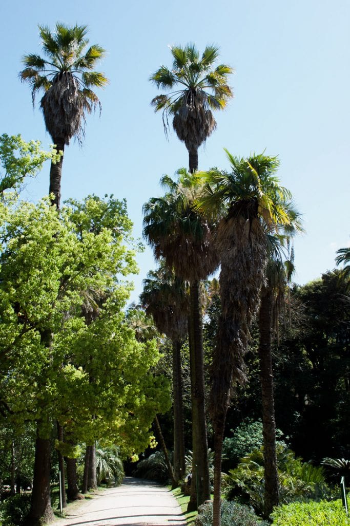 Botanische tuin in lissabon-2