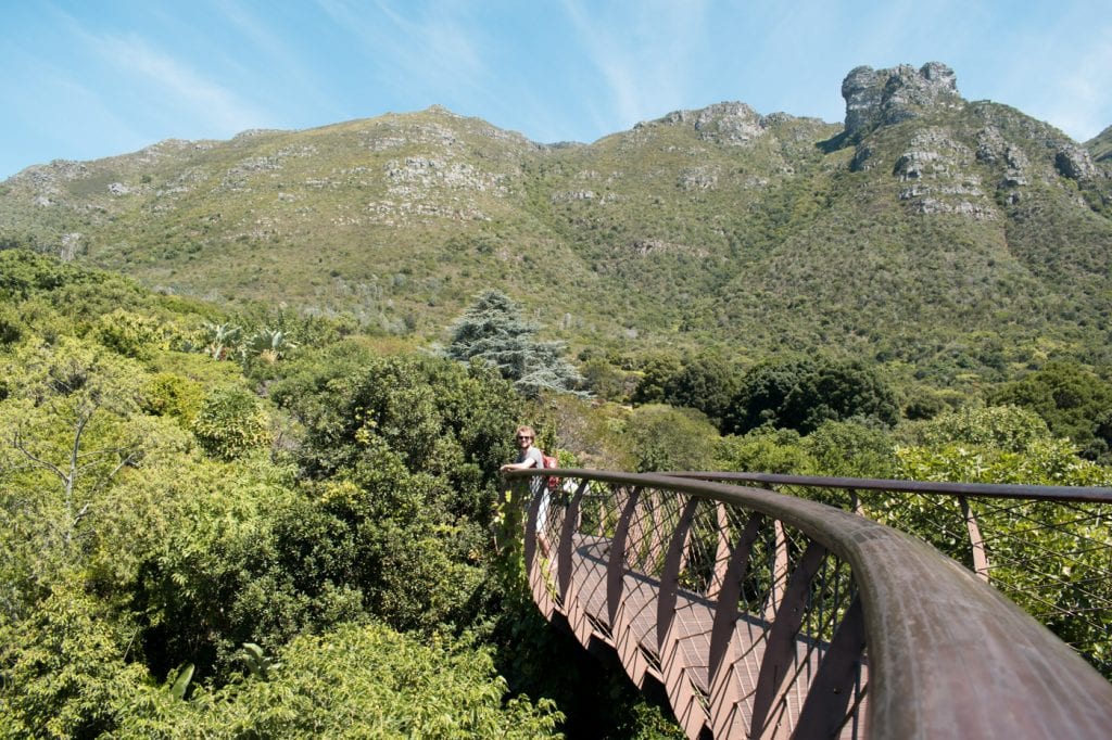 Botanische tuin kaapstad kirstenbosch