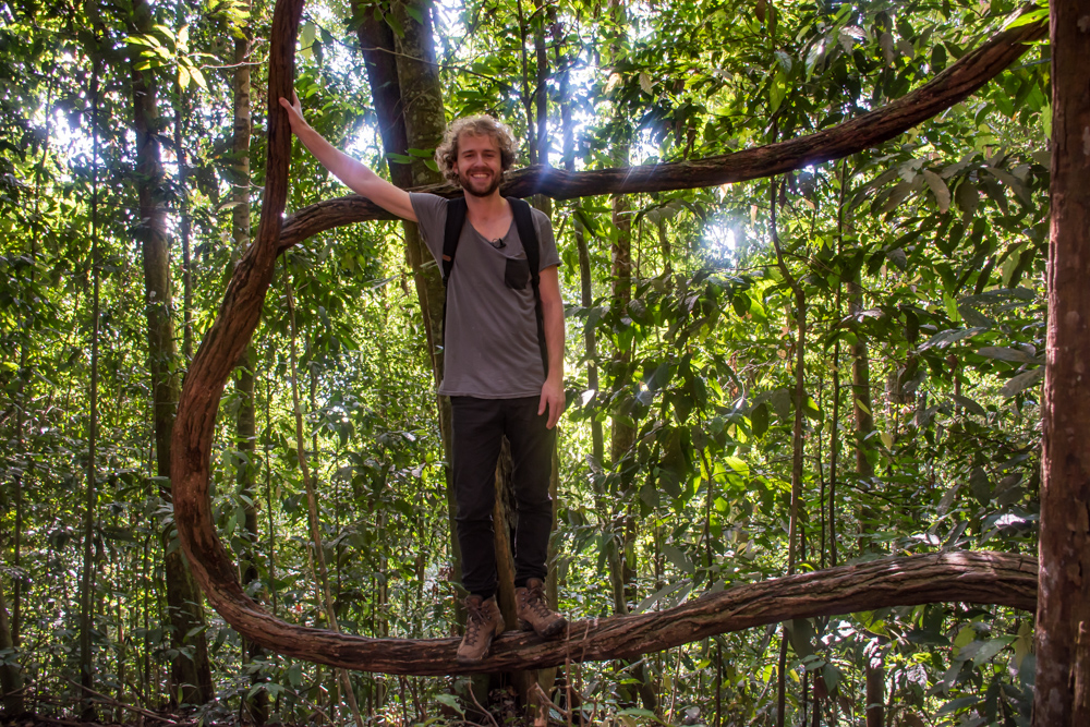 Bukit Lawang jungle tocht Orang Oetan-2