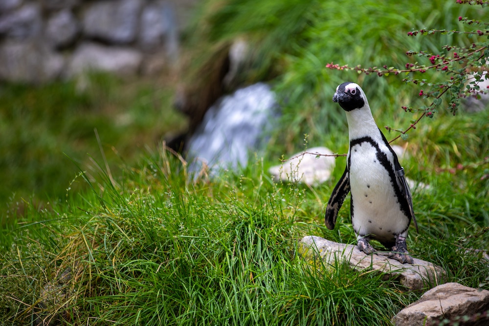 Burgers Zoo Arnhem