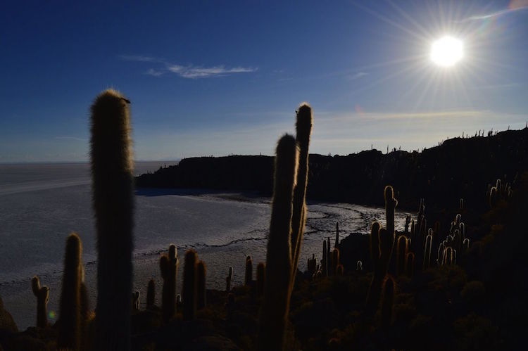 cactus-island-op-salar-de-uyuni