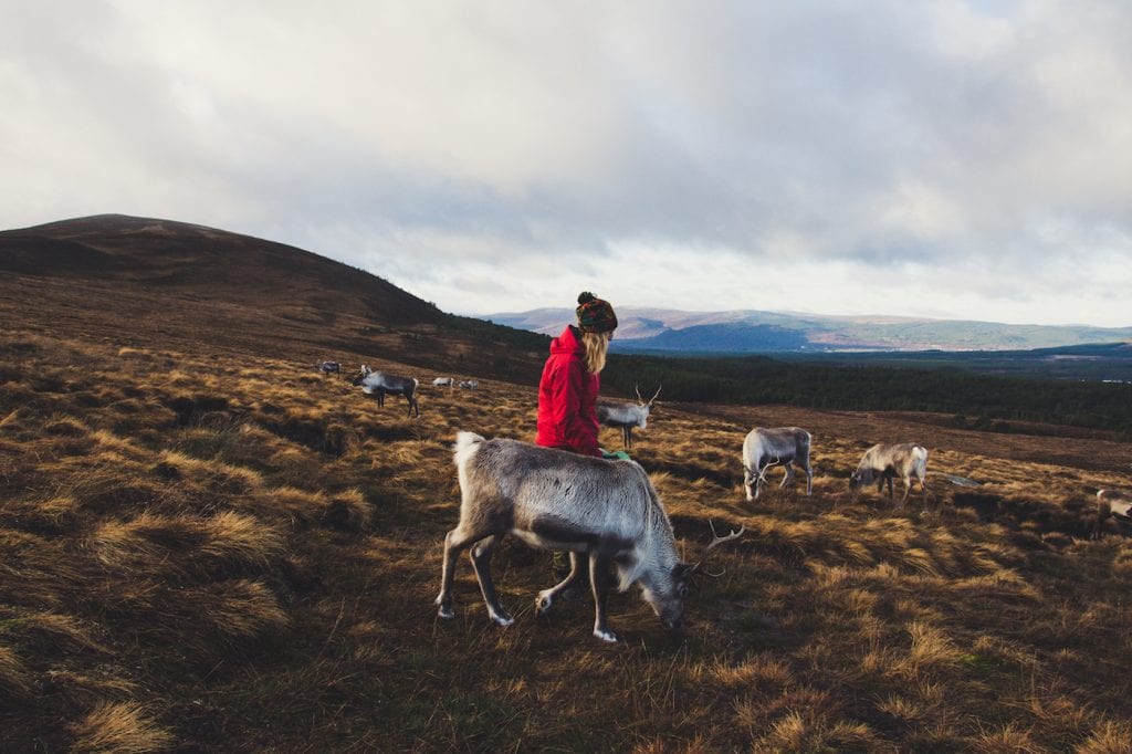 Cairngorms Schotland rendieren